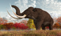  Tusk analysis reveals surging testosterone in male woolly mammoths – study 