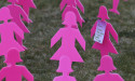Fight against breast cancer scores $12m research boost