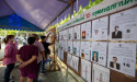  Thailand counts votes in key election with opposition favoured to win 