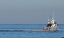 Shark attack search finds pieces of wetsuit, surfboard