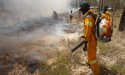 Indigenous carbon projects a slow burn for environment