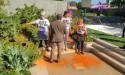  Paint thrown over Chelsea Flower Show garden in Just Stop Oil protest 