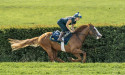 Johnston dreaming of Derby delight with Dubai Mile