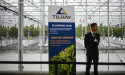 SNDL, Tilray stock price forecast: plot thickens for cannabis stocks