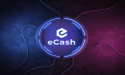 eCash (XEC) price has gone parabolic but something smells fishy 