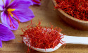  Geographical indication tag drives surge in global price of Kashmiri saffron 