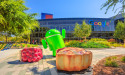  Gene Munster picks Google stock over Microsoft after Q2 earnings 