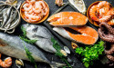 Processed Seafood Market Is Booming Worldwide with Freiremar, Thai Union Group, Middleby