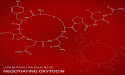  Coming August 11: ‘Negotiating Oxytocin’, an AltPop album of disarming digital age honesty 