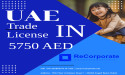 ReCorporate , Dubai ( UAE ) Based Business SetUp Experts Are Considered To Be Number One Business SetUp Experts In UAE