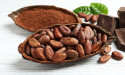 Cocoa Market Latest Trends, Industry Size and Future Prospects 2027 | Toutan S.A., Barry Callebaut AG