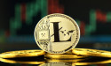  Litecoin halving: LTC nicely poised as traders load up 
