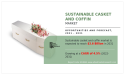 Sustainable Casket and Coffin Market: Global Industry Size, Share and Trends 2031