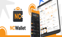 How to Keep Crypto Safe and Not Lose It: 8 Tips by NC Wallet