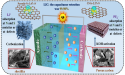 Advancing Heteroatom-Doped Porous Carbon Nanomaterials for Lithium-Based Energy Storage Applications