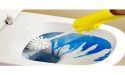 Toilet Care Market Report 2023-2028, Share, Size, Key Players Analysis and Forecast