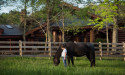 THE HUMAN-ANIMAL ALLIANCE AWARDS GRANT
