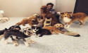 Dog Daycare Market to See Huge Demand by 2030: Pets at Home, Dog City, A Dog's Day