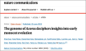 Decodificación del Genoma de Acorus Arroja Luz sobre la Evolución Temprana de las Monocotiledóneas