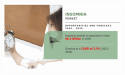 Exploring the Insomnia Market Landscape: Insights into Therapies and Trends