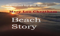 Beach Story – A Private Investigator and a Young Woman with Asperger’s Solve a Murder Case