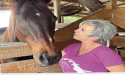 Horses Healing Hearts Featured in