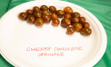  Anawalt Lumber's Tomato Tasting Scores 100% Fresh 