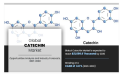 Catechin Market to Reach USD 21,099.9 thousand by 2030 | Size, Growth & Future Trends