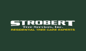 Emergency Tree Removal Experts, Strobert Tree Services, Offer Swift Solutions for Residents of Wilmington, Delaware