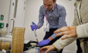 Primel® Hand Protection Demonstrates Long-Term Moisturising Effect and 23% Higher Disinfectant Efficacy Than Competitors