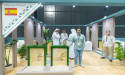  Spanish Farm Joins the International Falcon Breeders Auction with “International Race-Winning Peregrine Breeds” 