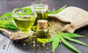  Medical Marijuana Market is Set to Experience a Revolutionary Growth | Aphria, Maricann, Cannabis Sativa 