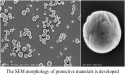 STATE KEY LABORATORY OF CHINA AND SCALARE HAS DEVELOPED HIGH-QUALITY RADIATION PROTECTION MATERIAL “BECQ”