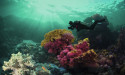 Quintana Roo A Destination To Enjoy And Extend The Summer