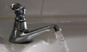 Legionella bacteria can cause serious lung disease that is fatal in 10% of cases