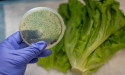 Controlled Environments Such as GrowPods from ACTX May Help Solve America’s Dangerous Food System Documented by Netflix