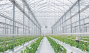 World’s Leading Water From Air Technology Company RussKap Water Enters Agricultural Sector with Acquisition of Envonics