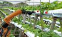 Smart Agriculture Tools Market Rapidly Gaining Traction in Key Business Segments: AgJunction, DeLaval, CropMetrics