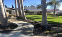 BioScapes Tree Care Inc Launches Comprehensive Tree Service Solutions Located in Union City, CA