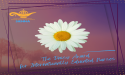 The DAISY Foundation™ and SIENNA Announce Partnership to Recognize Internationally Educated Nurses Worldwide