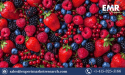 Fresh Berries Market Share, Price, Trends, Growth, Analysis, Key Players, Outlook, Report, Forecast 2023-2028