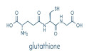  Unleashing Glutathione's Potential: Dr. Akoury Educates on the 'Master Antioxidant' for Health Revitalization 