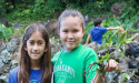 KEES Retained by Hawaiʻi State Public Charter School Commission to Lead Executive Director Search