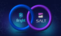 Bright Security Announces New Partnership with Salt Security to Enhance API Testing Capabilities
