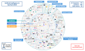 Global State of AI in FemTech Defined: AI Ushers in a New Era of Innovation for Women's Health