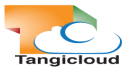Tangicloud Celebrates Triumphant Trifecta for Fiscal Year 2023