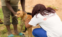 First community health workers for dogs to be trained as part of new initiative to eliminate rabies