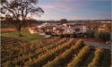 Certified Woman-Owned Teneral Cellars and TLTsolutions Purchase Amador County’s Wilderotter Vineyard for $6.8 Million