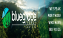 BlueGrace Energy Bolivia's 2030 Model: UN SDGs & Carbon Offsetting via SDG Bond Tokenization & Asset Forestry