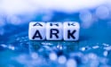  Here’s why the price of ARK cryptocurrency is rising 